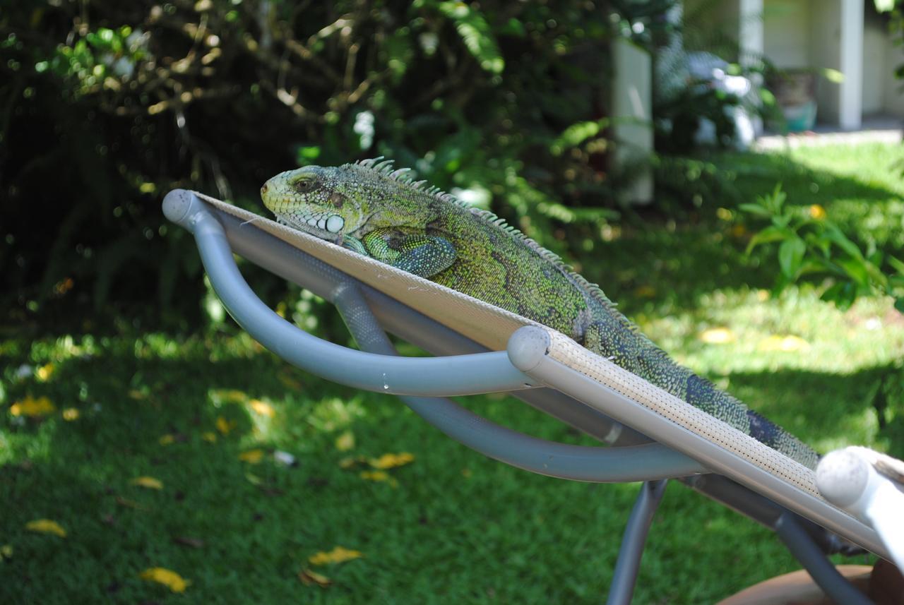 Hébergement de vacances Les Gîtes Latentouasie *